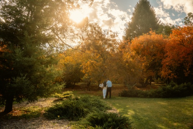 Couple beneath glowing autumn trees at sunset